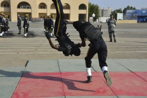 000-2234566561476480561601-20