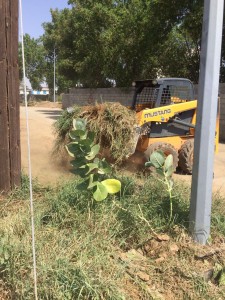 000-4967898861476480568556-6