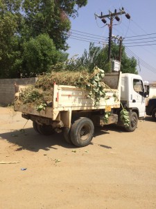 000-7289525201476480534529-6