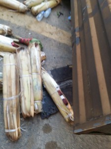 31dd54c5-08f8-43ff-9f9c-ee99fbd20f09