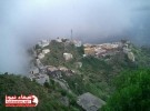 أنباء عن مقتل “شقيق ” عبدالملك الحوثي في المواجهات المسلحة في دماج
