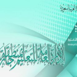 جازان تشهد القصاص من يمني قتل سعودياً.. “الداخلية”: خنَقه حتى الموت