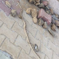 ملتقى أبوعريش الأسري الثاني ينظم برنامجاً عن التربية بالحب