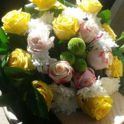 “محلي المسارحة” يزور “زراعة جازان”