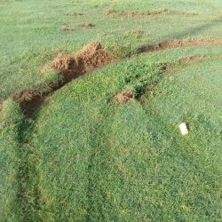 رئيس ( تراحم ) جازان يستقبل المدربة ” فاطمة مفرح “ ..