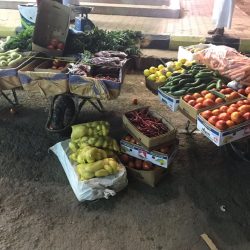 ترقية مدير محطة الإذاعة بمنطقة جازان…