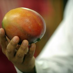 الاستاذ حسين صيرم يقيم محاضرة بعنوان “التحرير الالكتروني”