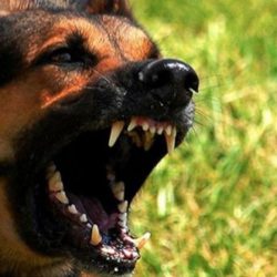 “طالب صامطة”.. الأول في مسابقة الخط العربي والزخرفة الإسلامية على مستوى السعودية