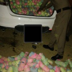 نائب رئيس جمعية الكشافة بالمملكة يدشن كشافة تنمية أبوعريش