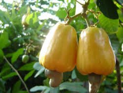 أمطار على محافظات جازان الجبلية.. و”المدني” يحذر