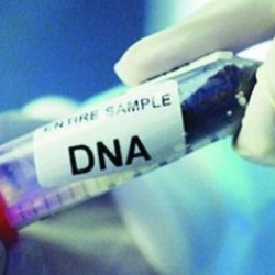 أمير جازان يوجِّه بمطالبة “الكهرباء” بكشف أسباب ارتفاع فواتير استهلاك المواطنين