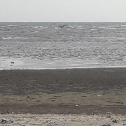 بلدية العارضة تستضيف الاجتماع الثاني لمديري صحة البيئة