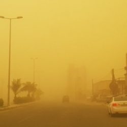 إعادة تشكيل مجلس إدارة دعوي «بيش» ومحمد بن شامي شيبة رئيساً