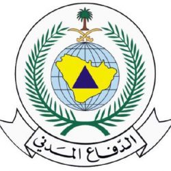 الطفيل مديرًا تنفيذيًا لمهرجان صفري بيشة