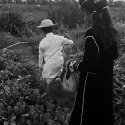 أمير جازان بالنيابة يوجه باستمرار العمل أثناء إجازة عيد الأضحى..