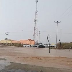 مشاركة وطنية بثلاث لغات لطالبين توأمين تنال إعجاب أمير منطقة جازان بالنيابة والحضور.