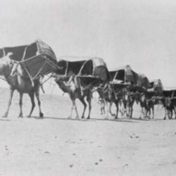 استجابة لنداءات شقيق “غريق رأس الطرفة”.. المتطوعون يمشطون شواطئ جازان “صور”