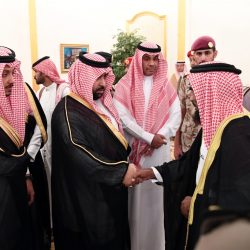 مستشفى فيفاء يقيم دورة في الجودة وادارة المخاطر