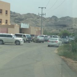 البيئة: نجحنا في مكافحة نبات «البلس» في جازان بنسبة تجاوزت 90 %