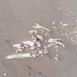 40شاعراً وشاعرة”يحيون مهرجان القصيدة الوطنية بنادي جازان الأدبي