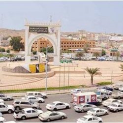 أعضاء “غرفة جازان” يلتقون مسؤولي الميناء ومؤسسة صوامع الغلال ومطاحن الدقيق