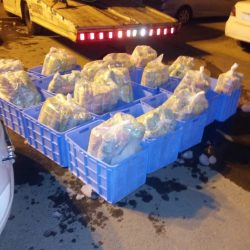 بمبادرة من فاعلة خير : إطلاق دفعة ثانية من سجناء الديون بجازان .