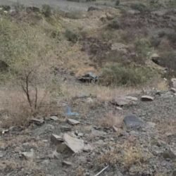 بعد توجيه نائب أمير جازان.. جمعية بناء ومساكن تتكفل بأجرة وترميم منزل أسرة الصهلولي