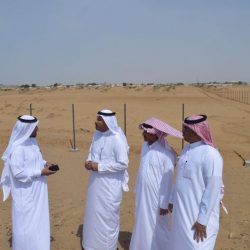 “صحة جازان” تحتفل باليوم العالمي للصحة النفسية في عدد من مراكزها