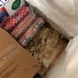 “ضحية المياه الراكدة” بجازان.. كُرّم لتفوقه ولم يلحق اختباره.. مات “ضياء” طفلاً