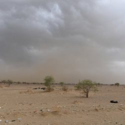 “مرور جازان” يطيح بقائد حافلة مدرسية وإحالته لهيئة الفصل المرورية