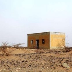 “سياحة جازان” تدرب 50 طالباً على “كيف تبدأ مشروعك”