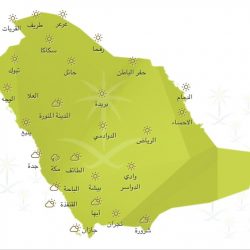 صندوق التنمية الزراعية بجازان يطلق القروض التشغيلية لمربي الماشية