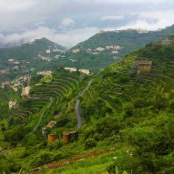 لا صرف مشروع الكفالة الشهرية بجمعية البر الخيرية بالعارضةيعمل