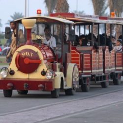 هطول أمطار غزيرة على فيفاء مصحوبة بزوابع رعدية