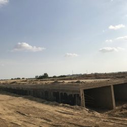 جازان تشهد تنفيذ حكم القتل تعزيراً في 3 مروجين للحشيش المخدر