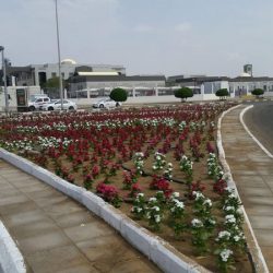 محافظ صبيا يكرم الموظف المثالي بمقر المحافظة