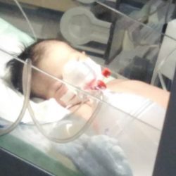 مهرجان الداير للبُن موارد تقدر بـ ٦٠ مليونًا ونافذة لتوطين الزراعة ودعم للاقتصاد الوطني