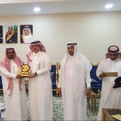 أمانة جازان تستقبل زوار الشتاء بـ100 ألف زهرة مختلفة الألوان