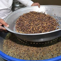 الداير تبتهج بمقدم سمو أمير منطقة جازان وسمو نائبه