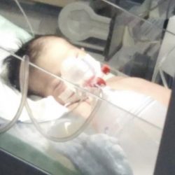 أمير جازان يستعرض مشروعات عدة ويكرّم “خالد السهلي”