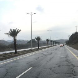 “تعليم جازان” ينظم ندوة بعنوان “النزاهة سلم التنمية”