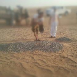 مهرجان العسل ينطلق اليوم في “عاصمة الشهد”