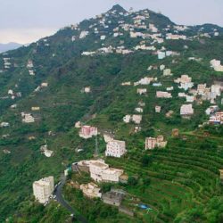 نائب أمير جازان يدشن الموقع الإلكتروني لجمعية تحفيظ القرآن الكريم بالطوال