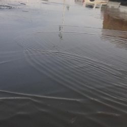 مراقبة البيئة البحرية في جزر فرسان تقبض على ٤ مراكب صيد مخالفة