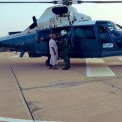 شبح إنفلونزا الخنازير يُثير الرعب بـ “ولادة أبو عريش” ويفتح تحقيقات