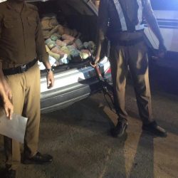 ست جولات دعوية نفذتها إسلامية جازان