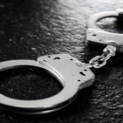 Precisely what are Free games Emulators?