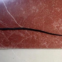 بلدية محافظة ضمد تخصص أرض لإنشاء جامعة بمحافظة ضمد