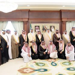 Precisely what are Free games Emulators?