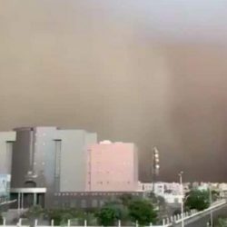 بمناسبة انعقاد قمم مكة.. مدير جامعة جازان: وطننا عظيم في مسؤولياته وفي قدراته التنظيمية الجبارة